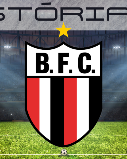 Historia do Botafogo de Ribeirao Preto